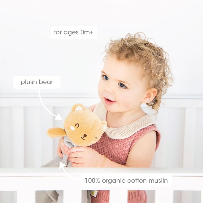 pearhead Baby Teddy Bear Lovey Blanket - Soft Snuggle Toy for Infants & Toddlers, Stocking Stuffer Ideas for Babies, Newborn, Stuffed Animal Security Lovie, Cotton Muslin - Image 2